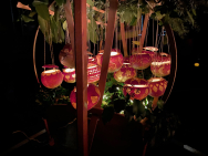 Schaufenster